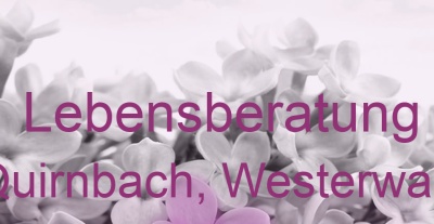 Lebensberatung Quirnbach, Westerwald | Top-Experten für Kartenlegen, Wahrsagen, Hellsehen, Zukunftsdeutung. Lebensberatung Quirnbach, Westerwald | Top-Experten für Kartenlegen, Wahrsagen, Hellsehen, Zukunftsdeutung.